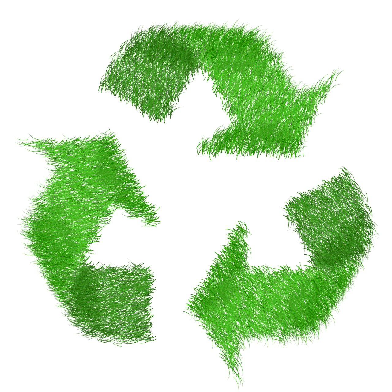 Eco-friendly publishing: Can a book be sustainable? 5 Eco-friendly publishing: Can a book be sustainable?